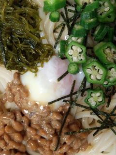ちゅるちゅるネバネバうどん-レシピのメイン写真