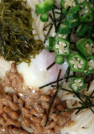 ちゅるちゅるネバネバうどん-レシピのメイン写真