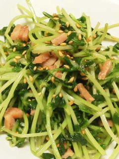 豆苗のごま油炒め-レシピのメイン写真