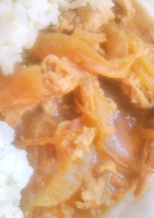 薄切り肉で☆簡単甘辛豚丼-レシピのメイン写真