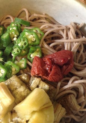 オクラと焼きなすのっけ蕎麦♪夏-レシピのメイン写真