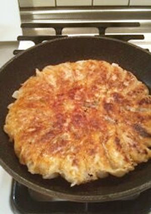 おろしポン酢でさっぱり　両面焼き餃子-レシピのメイン写真