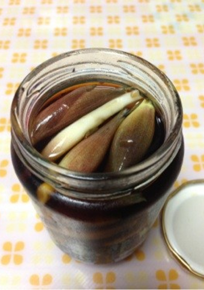簡単！ご飯がすすむ みょうがの醤油漬け-レシピのメイン写真