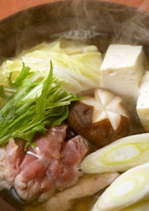 天然だしパックで作るひとりじめ鶏小鍋-レシピのメイン写真