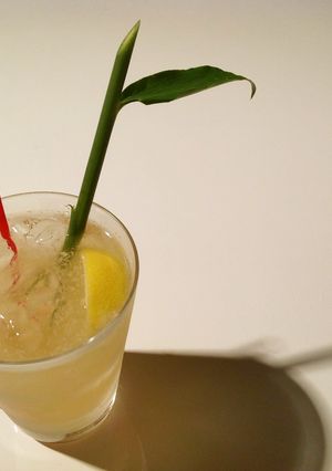谷中生姜のジンジャーハイボール-レシピのメイン写真