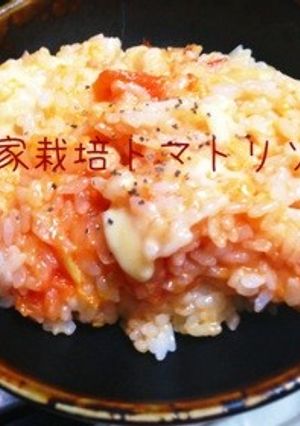 特製トマトリゾット-レシピのメイン写真