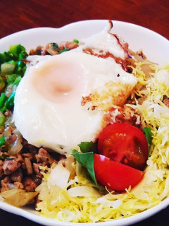 うちのガバオ丼-レシピのメイン写真