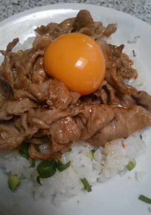 ごま油が香る肉どんぶり☆-レシピのメイン写真