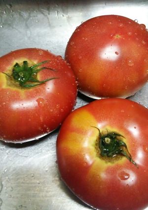 あっという間のトマトの皮むき★-レシピのメイン写真