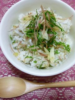 夏のまぜご飯-レシピのメイン写真