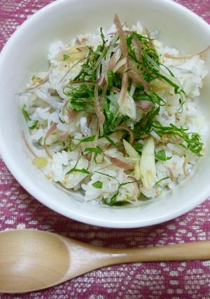 夏のまぜご飯-レシピのメイン写真