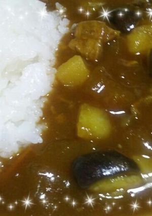 冬瓜と牛すじのカレー-レシピのメイン写真
