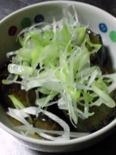 揚げなすの煮びたし-レシピのメイン写真
