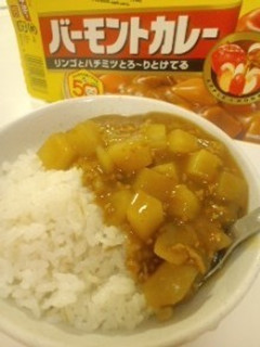 大根と豚ひき肉の和風カレー-レシピのメイン写真