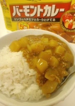 大根と豚ひき肉の和風カレー-レシピのメイン写真