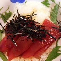 基本からアレンジまで！思わずつくりたくなる「まぐろ 漬け やま