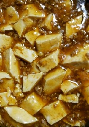 手作りしよう！麻婆豆腐-レシピのメイン写真