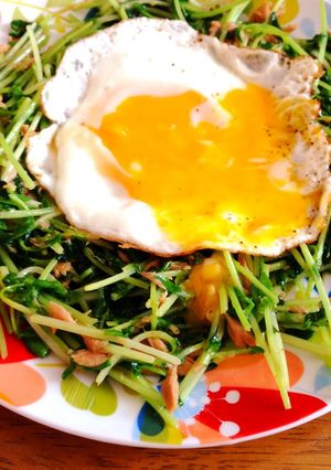 簡単豆苗の温サラダ♪ 朝食などにどうぞ！-レシピのメイン写真