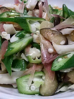 オクラとみょうがの夏野菜サラダ-レシピのメイン写真