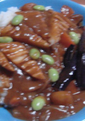 かくふ入り夏カレー-レシピのメイン写真