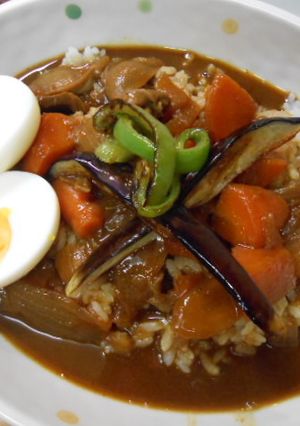 ♪砂肝とごぼうのちょっと変わったカレー-レシピのメイン写真