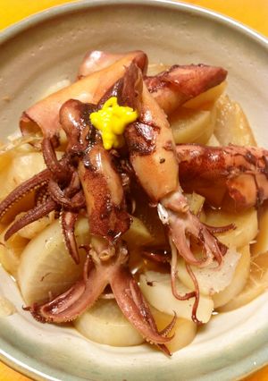 ヤリイカと大根の煮物-レシピのメイン写真