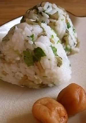 高菜漬けとコリアンダーのおにぎり-レシピのメイン写真