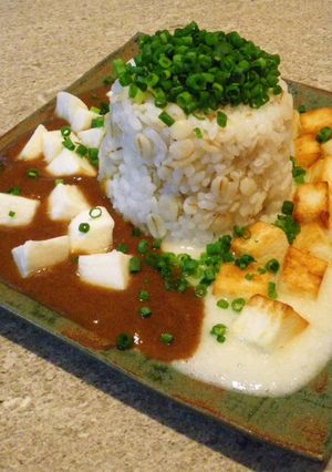 鞠子宿かれー-レシピのメイン写真