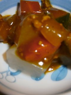 冬瓜と夏野菜のカレー-レシピのメイン写真
