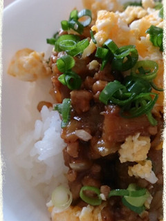 ナスと挽き肉の味噌炒め丼-レシピのメイン写真
