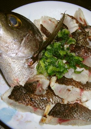 居酒屋再現!いさきの炙り ねぎポン酢-レシピのメイン写真