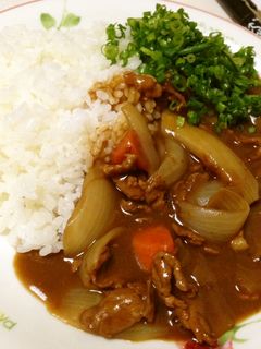 ご当地☆九条ネギたっぷりカレー!-レシピのメイン写真