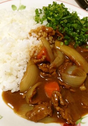 ご当地☆九条ネギたっぷりカレー！-レシピのメイン写真