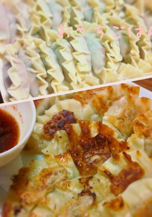 アジュンマのギョウザ-レシピのメイン写真