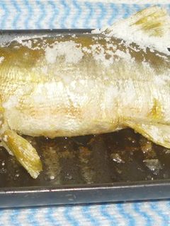 パパの鮎の塩焼き-レシピのメイン写真