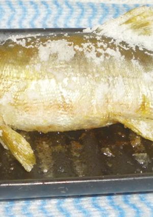 パパの鮎の塩焼き-レシピのメイン写真
