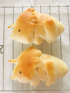 恐竜パン♪ トリケラトプス-レシピのメイン写真