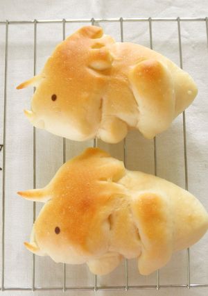 恐竜パン♪ トリケラトプス-レシピのメイン写真