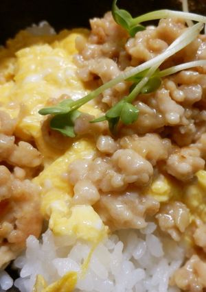 そーみー親子丼-レシピのメイン写真