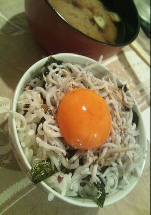 カリカリ梅と釜揚げしらすの絶品卵かけご飯-レシピのメイン写真