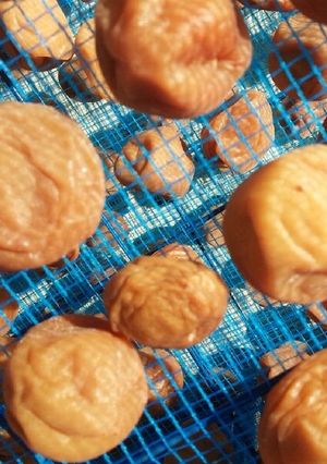紀州南高梅干し-レシピのメイン写真