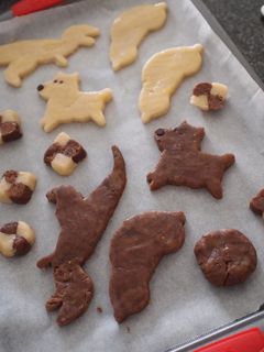 さくさくクッキー-レシピのメイン写真