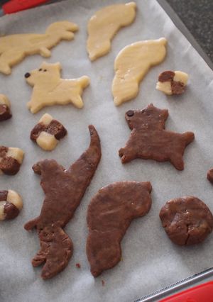 さくさくクッキー-レシピのメイン写真