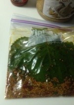 ジプロックで簡単！エゴマの葉醤油漬け-レシピのメイン写真