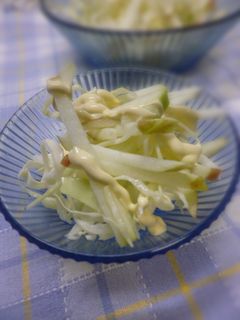キャベツとリンゴのサラダ-レシピのメイン写真