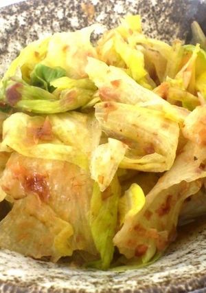 シャクシャク食感 レタスの浅漬け!!-レシピのメイン写真