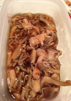 あんかけのストック-レシピのメイン写真