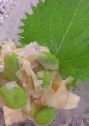 湯葉と枝豆のサラダ-レシピのメイン写真