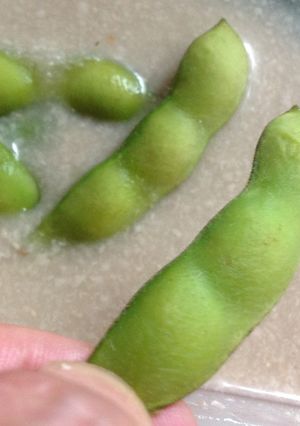 美味❤枝豆の漬物-レシピのメイン写真