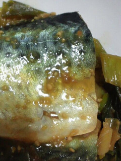 さばの味噌煮-レシピのメイン写真